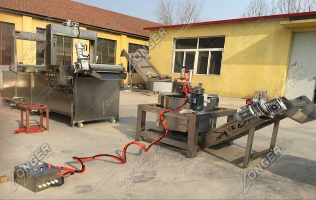 Continuous Fryer and Deoiling Machine Sold to Germany