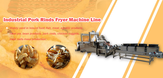 Automatic Fryer Machine for Por