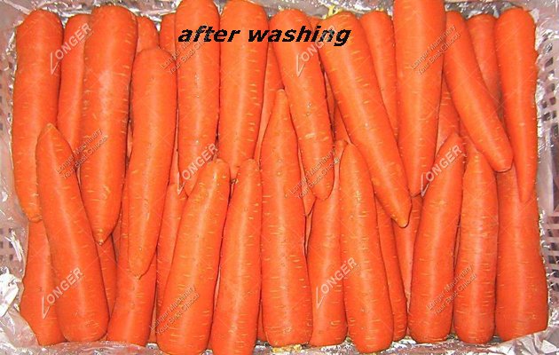 washed Carrot