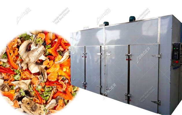 Commercial Fruit And Vegetable Dehydration Dryer Machine Manufacturers