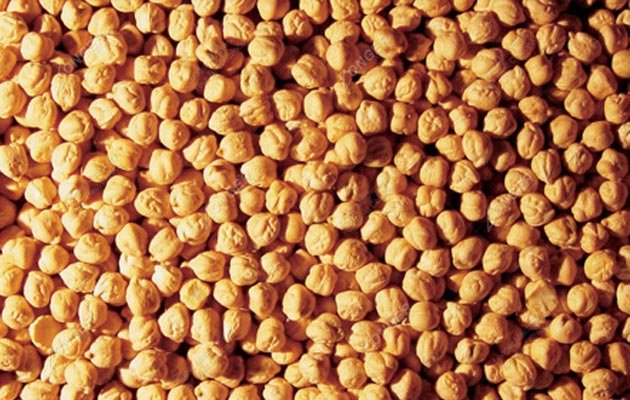 Chickpeas Roasting Machine|Chickpea Roaster