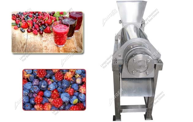 Single Screw Forest Fruit Juice Extractor Machine|Fruit Juice Making Machine