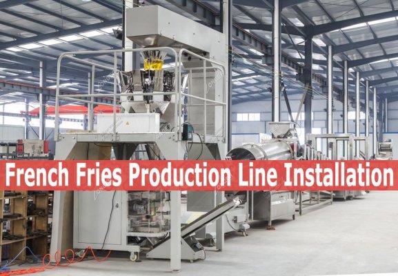 Frozen French Fries Production Line to Egypt