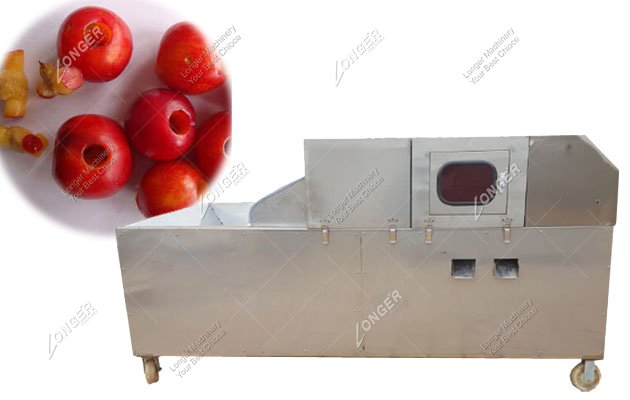 Palm Dates Pitting Machine