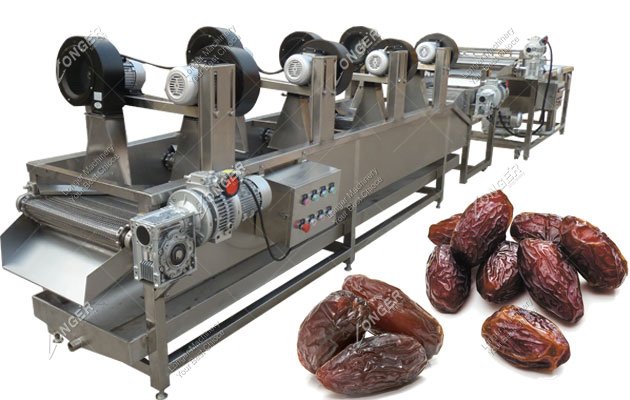 Industrial Palm Dates Washing And Drying Processing Machinery